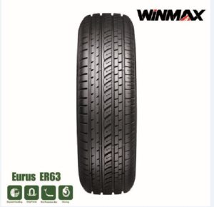 Winmax EURUS63Y 245/30R20 90WXL